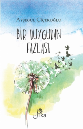 Bir Duygudan Fazlası